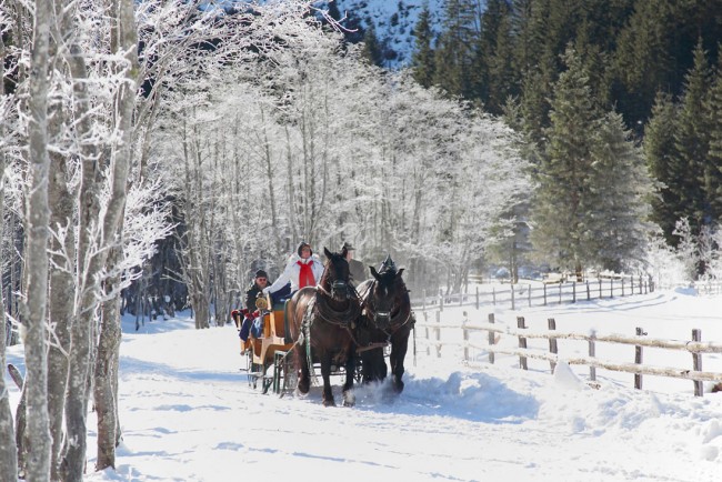 Pferdeschlittenfahrt in Flachau im Winter
